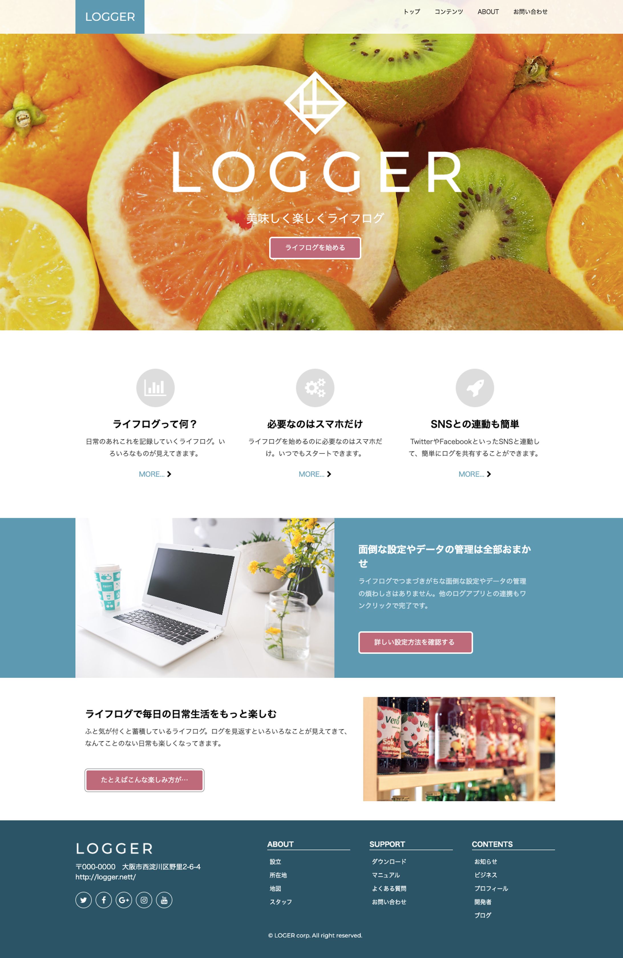 Blog site　LOGGER-1