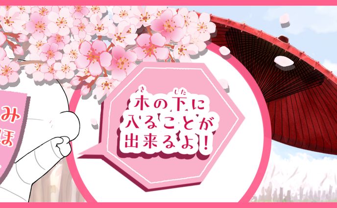 写真、雑貨