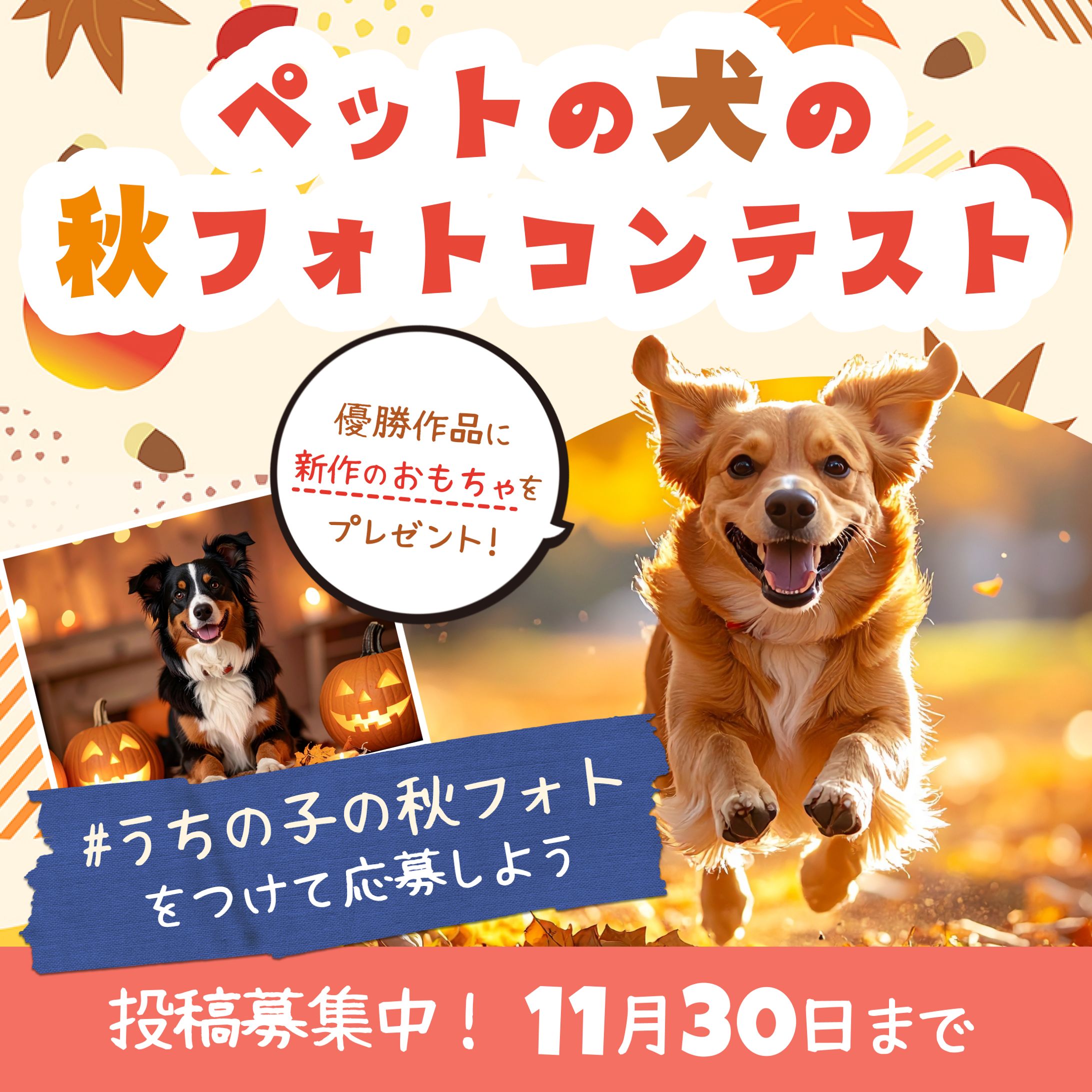 【バナー】ペットのフォトコンテスト（sample）-1