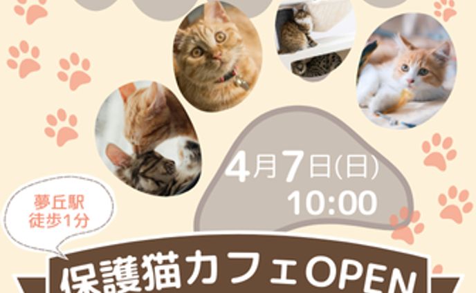 保護猫カフェバナー