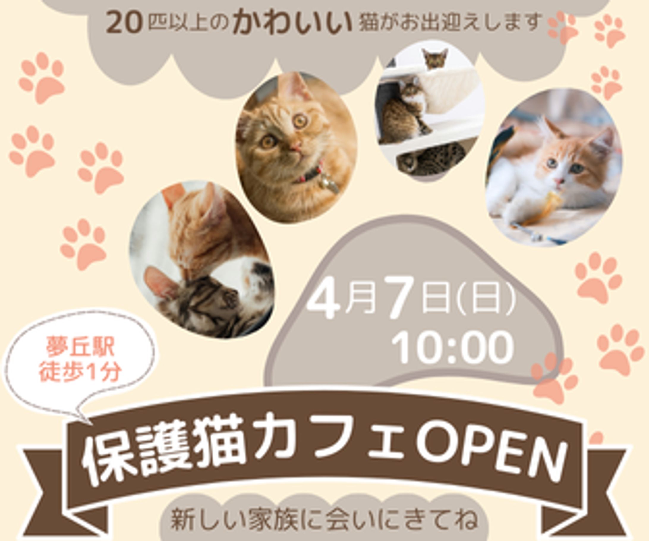 保護猫カフェバナー-1