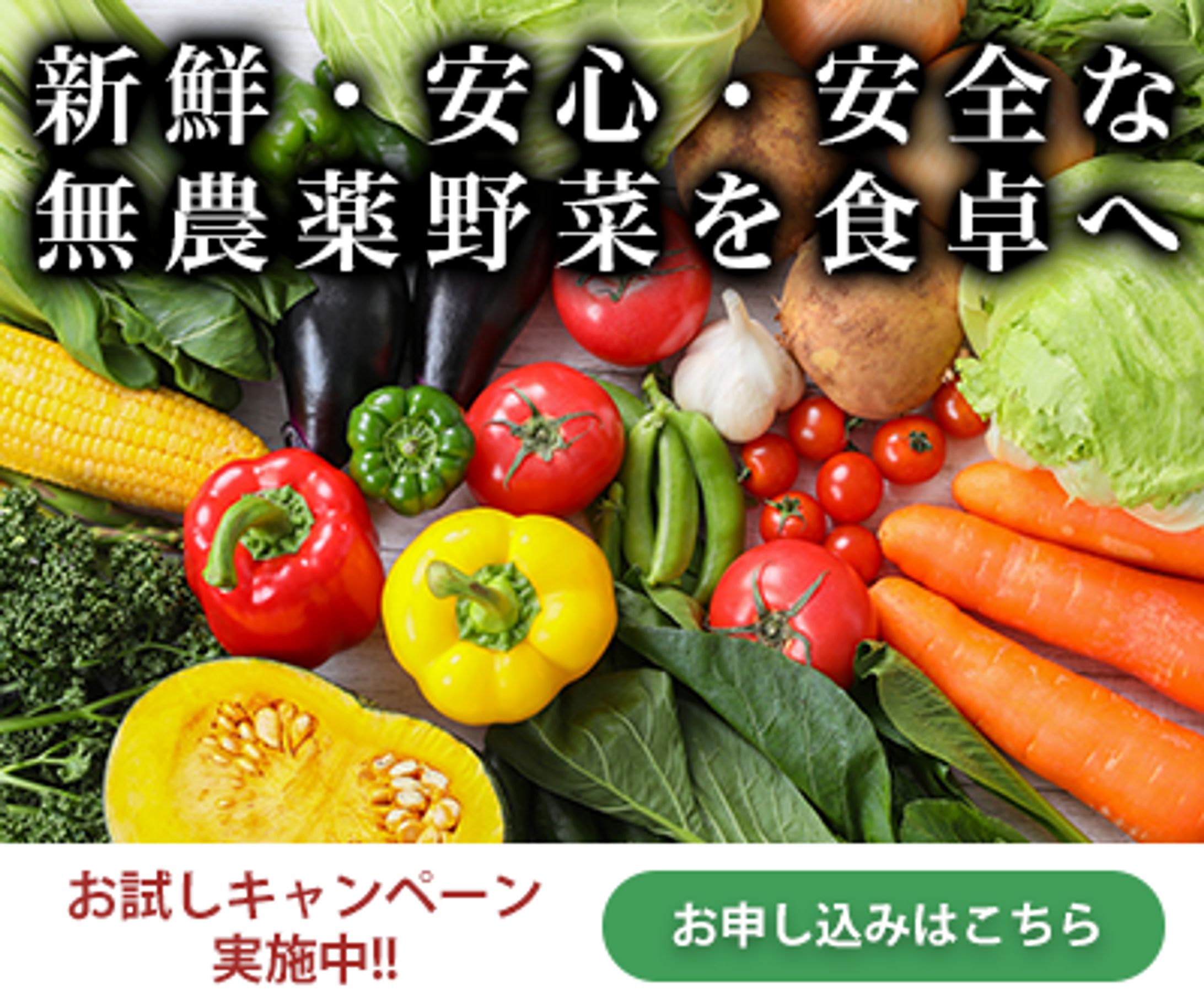 【架空】無農薬野菜　バナー-1