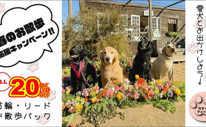 【架空バナー】春のお散歩応援キャンペーン