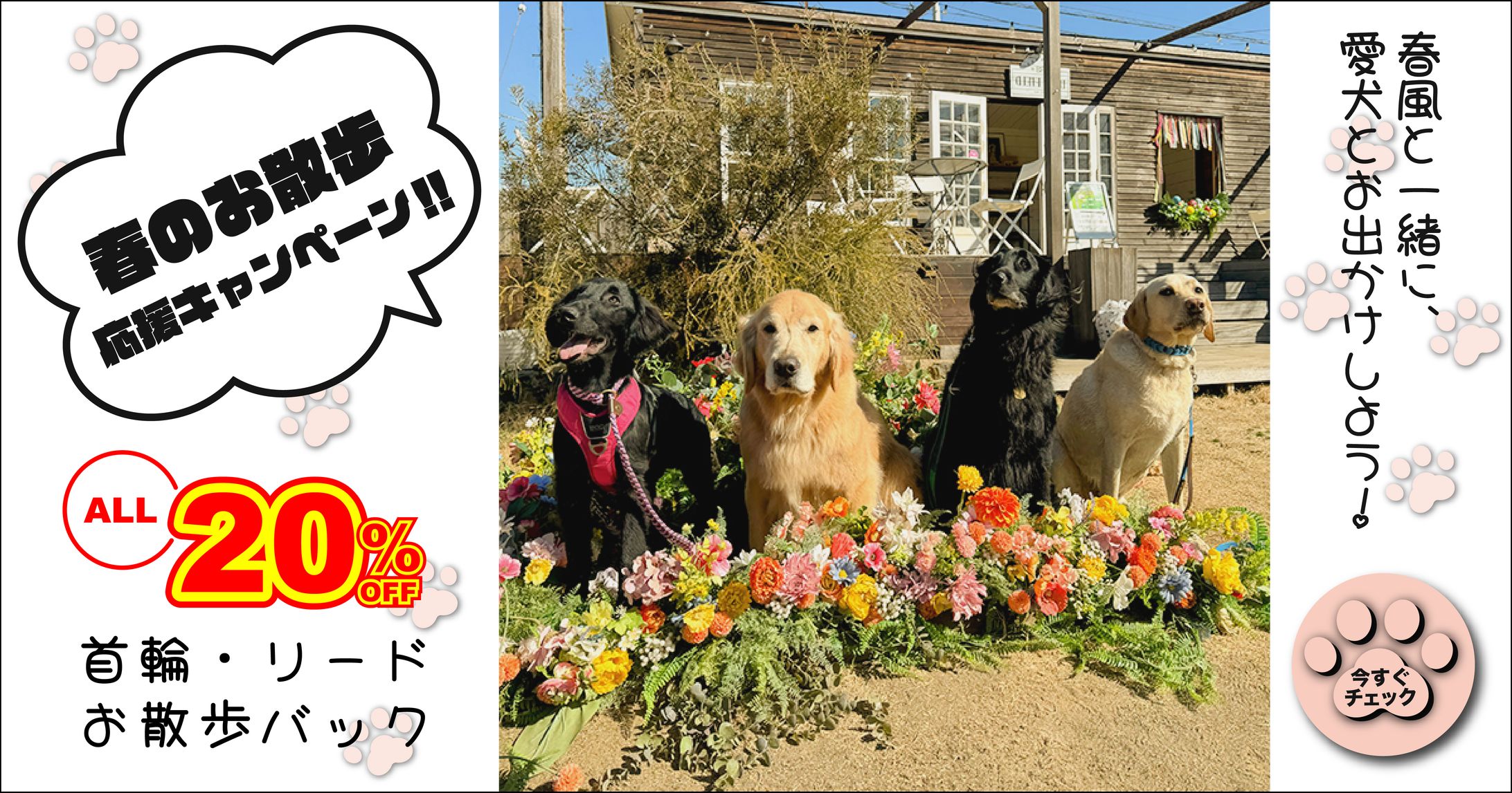 【架空バナー】春のお散歩応援キャンペーン-1