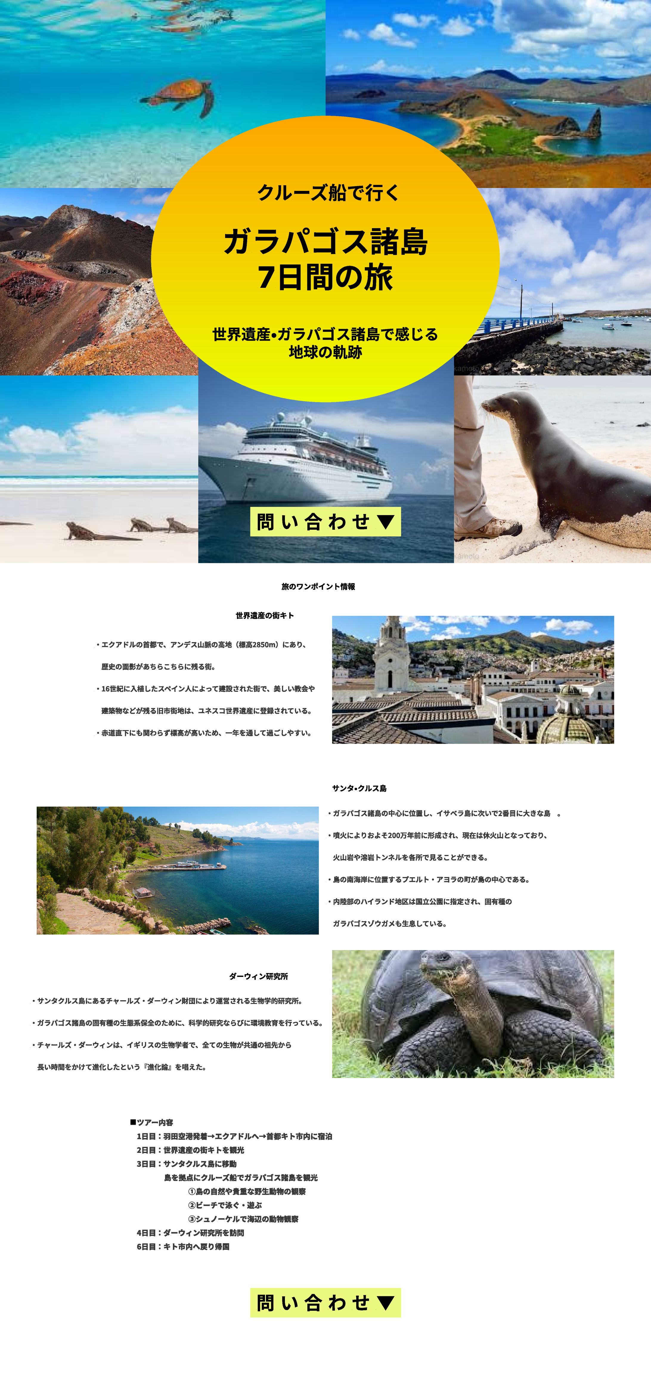ツアー旅行デザイン-1