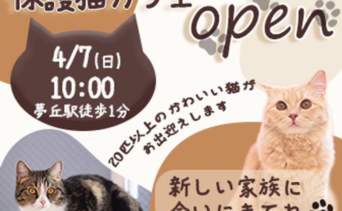 保護猫カフェのオープン告知