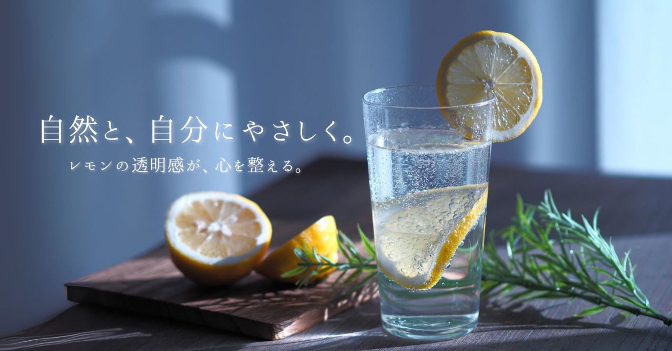 デザイン例（自主制作）hikari days.-1