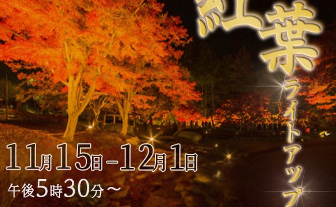 紅葉ライトアップ（架空バナー）