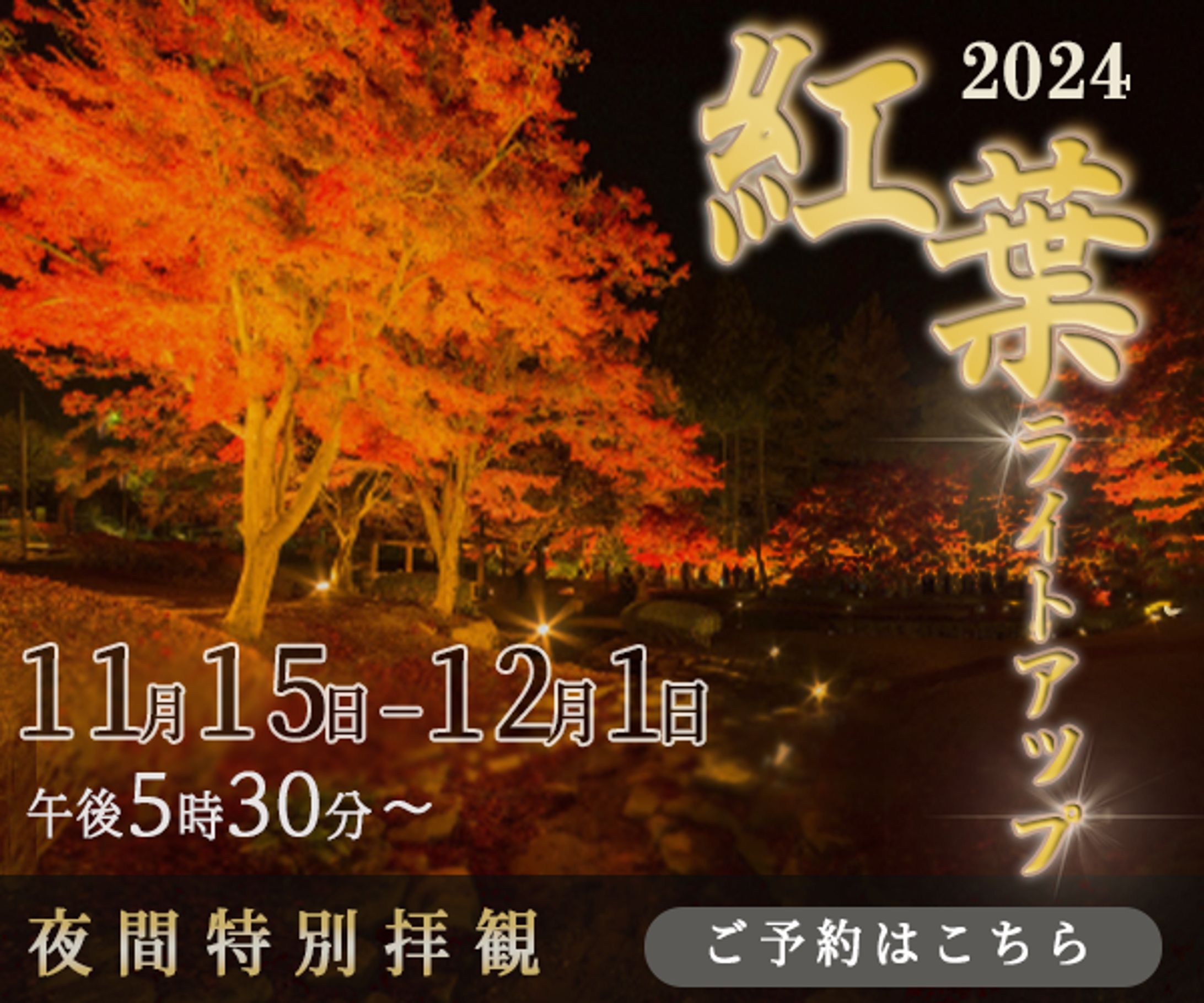 紅葉ライトアップ（架空バナー）-1