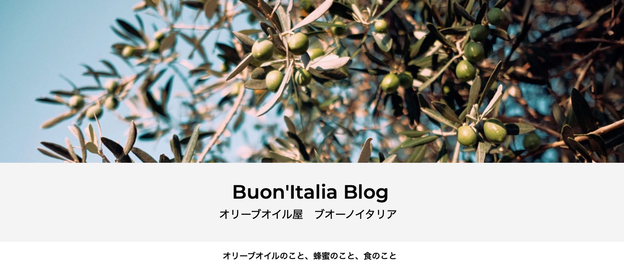 Wordpressにて作成のBlog（非公開中）-1