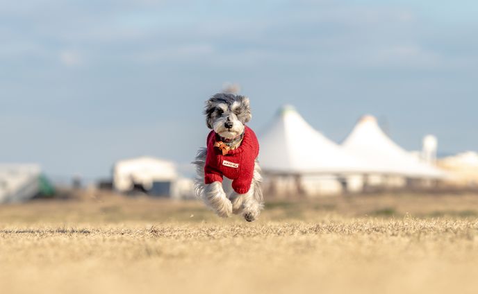 20230222 DSC00376 強化