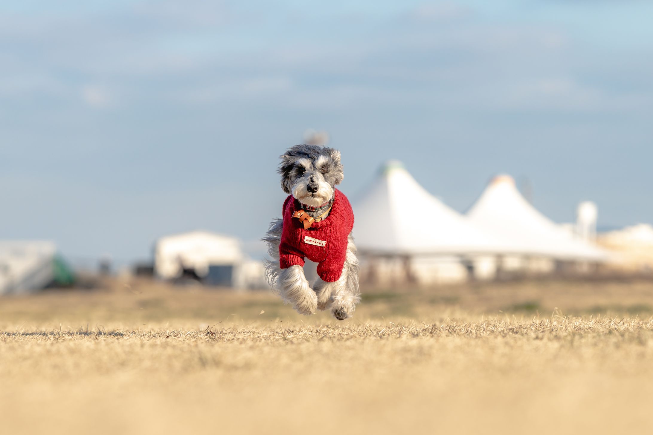 20230222 DSC00376 強化-1