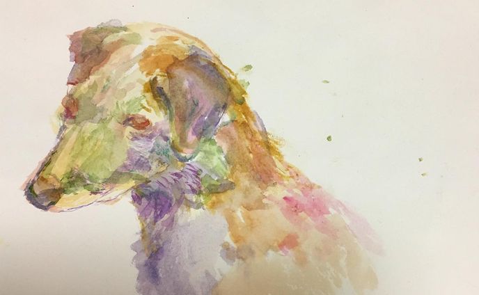 illustrator、宮崎萌美