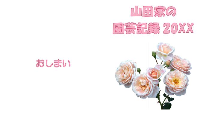 冊子サンプル