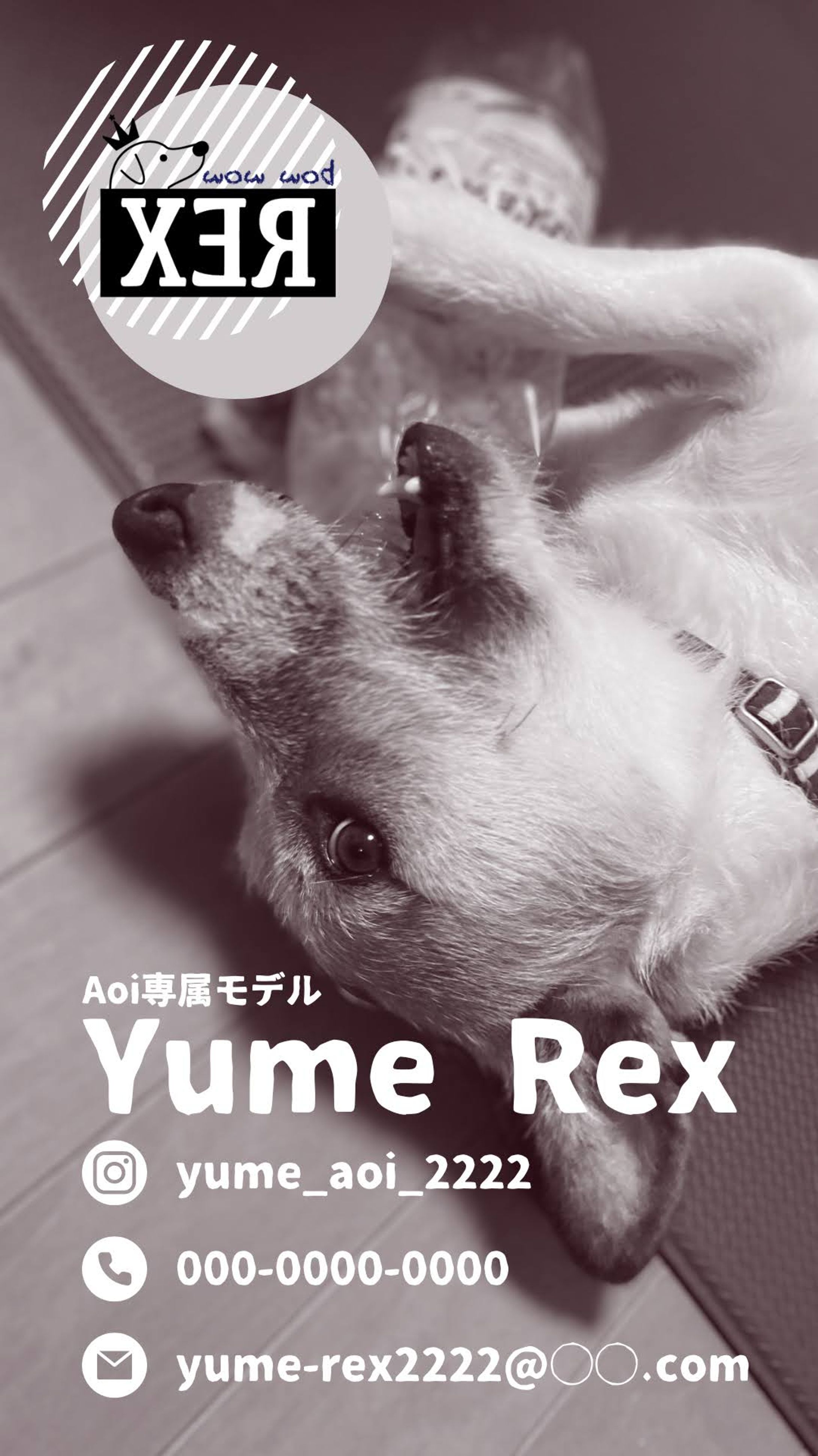 Canva/名刺風デザイン-1