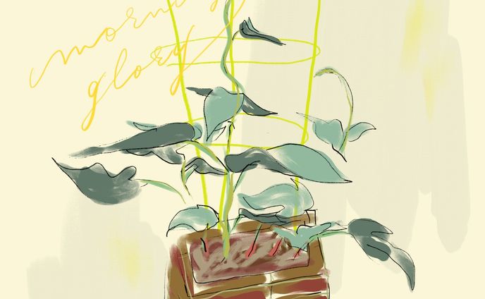 ・

Morning glory_rough sketch
朝顔　ラフ画

#art
#drawing
#fresco
#flowers
#textiles
#nft
#metaverse
#morningglory
#calligraphy
#花
#イラスト
#絵本
#挿絵
#テキスタイル
#生地
#カリグラフィー
#朝顔