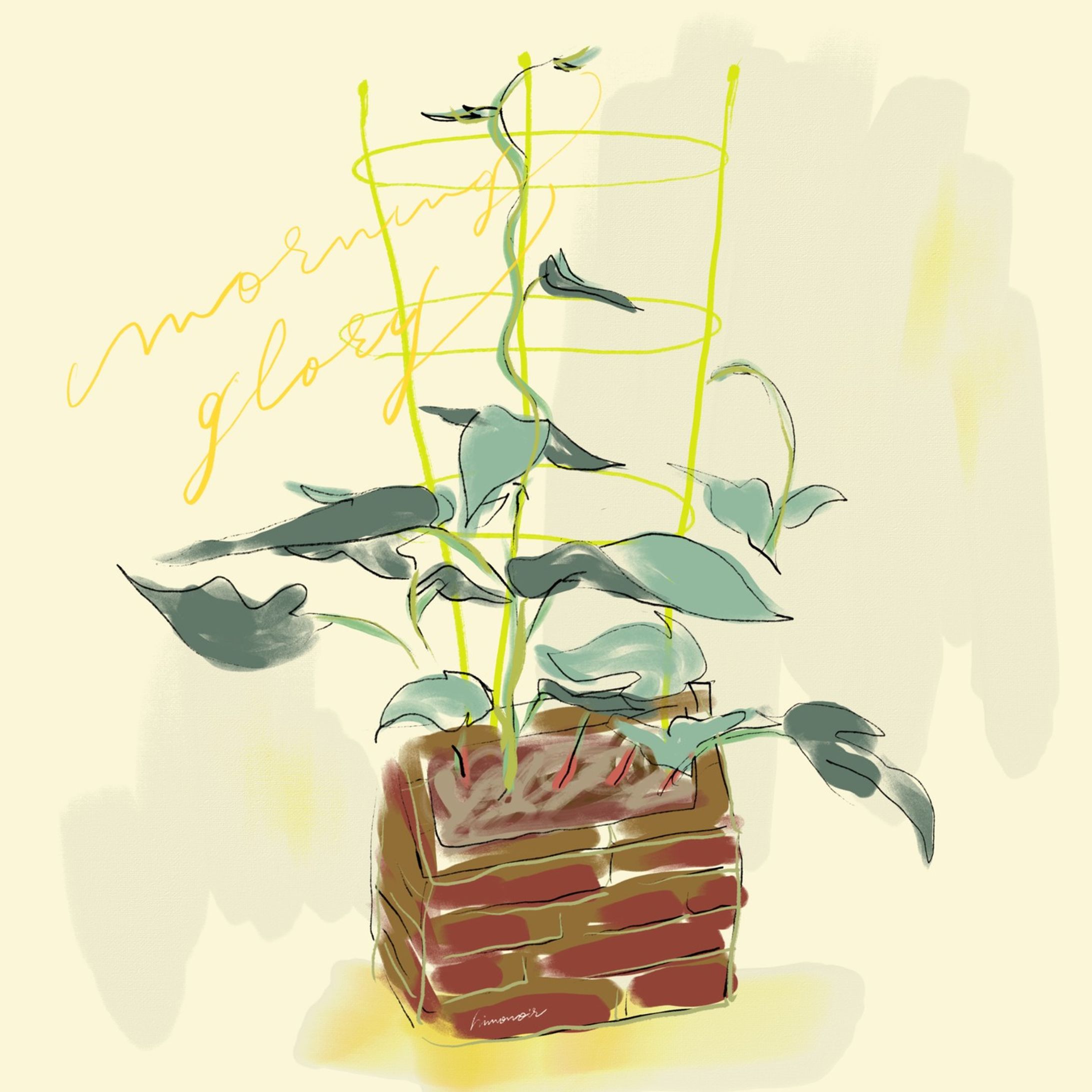 ・

Morning glory_rough sketch
朝顔　ラフ画

#art
#drawing
#fresco
#flowers
#textiles
#nft
#metaverse
#morningglory
#calligraphy
#花
#イラスト
#絵本
#挿絵
#テキスタイル
#生地
#カリグラフィー
#朝顔-1