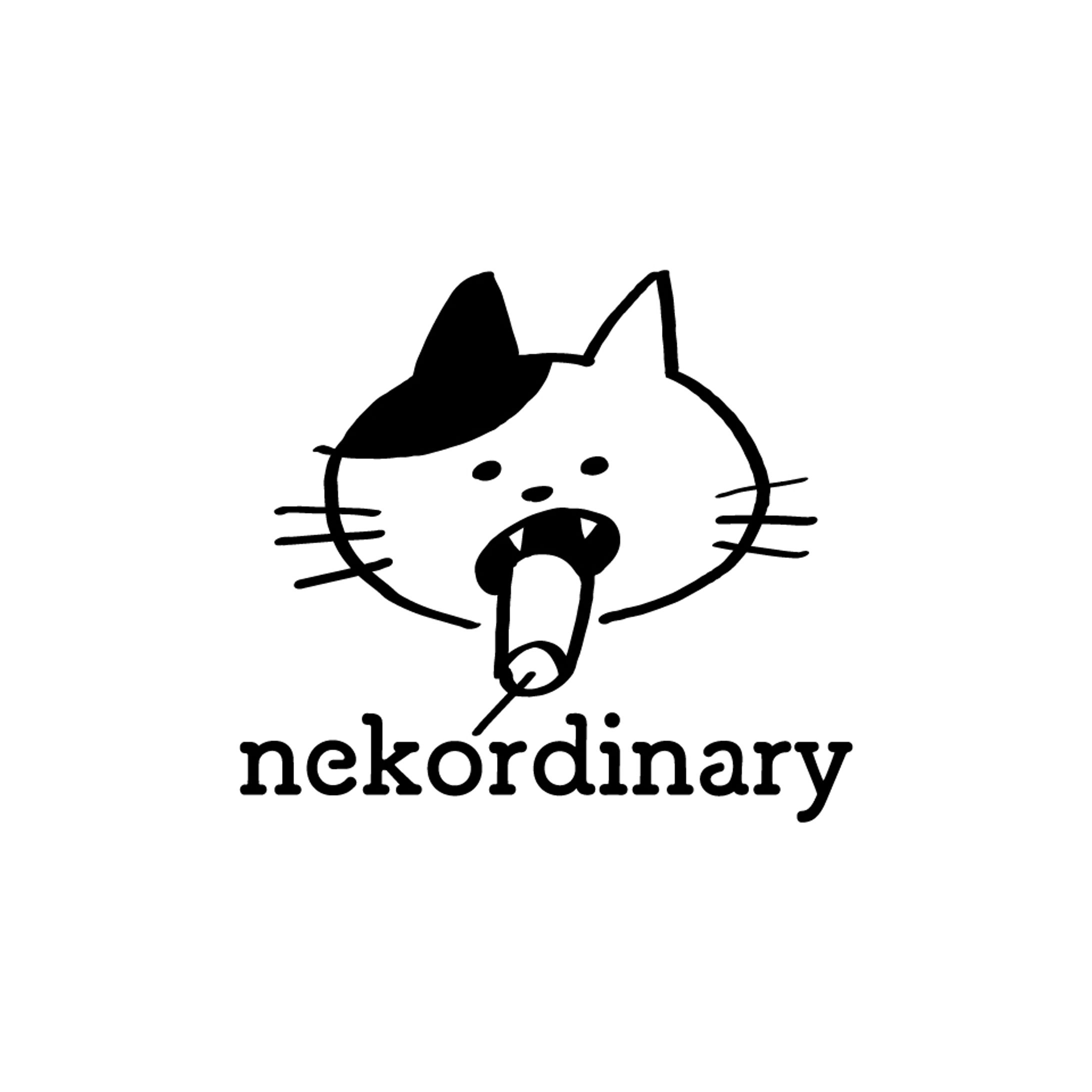 nekordinary-1