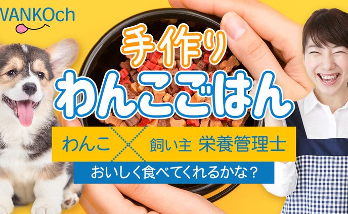 動物系サムネ　トレース