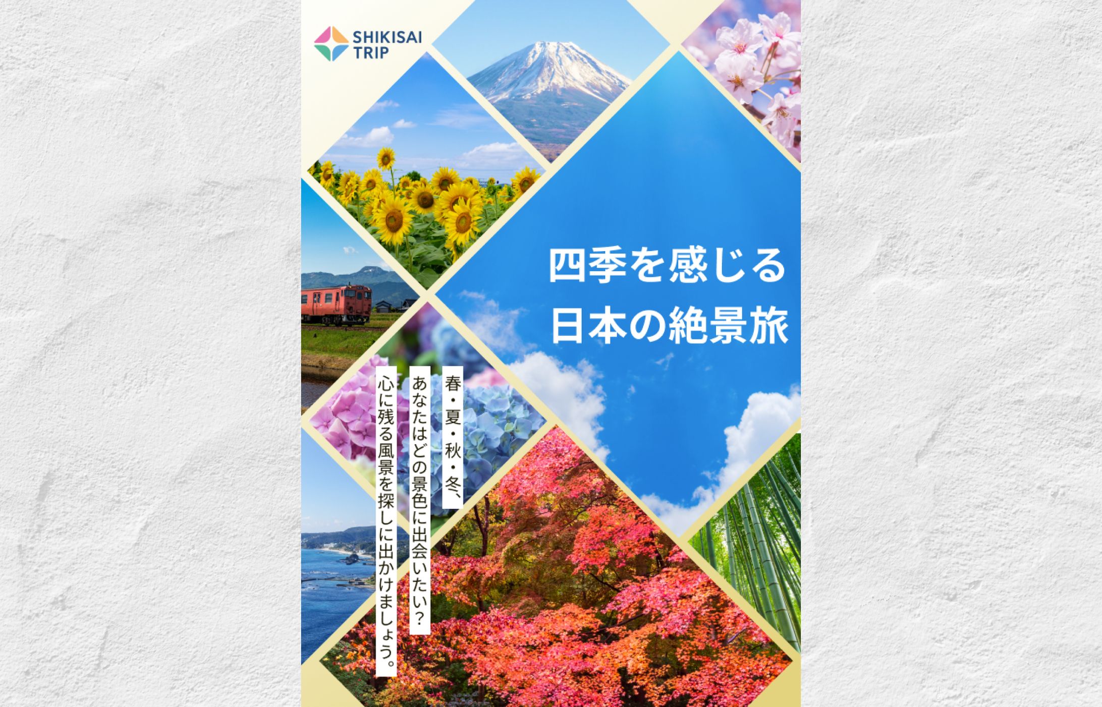 チラシ/絶景旅-1