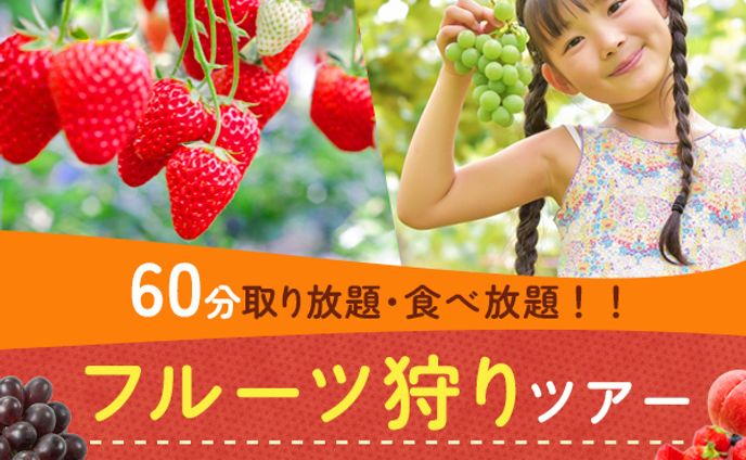 バナー：フルーツ狩りツアー