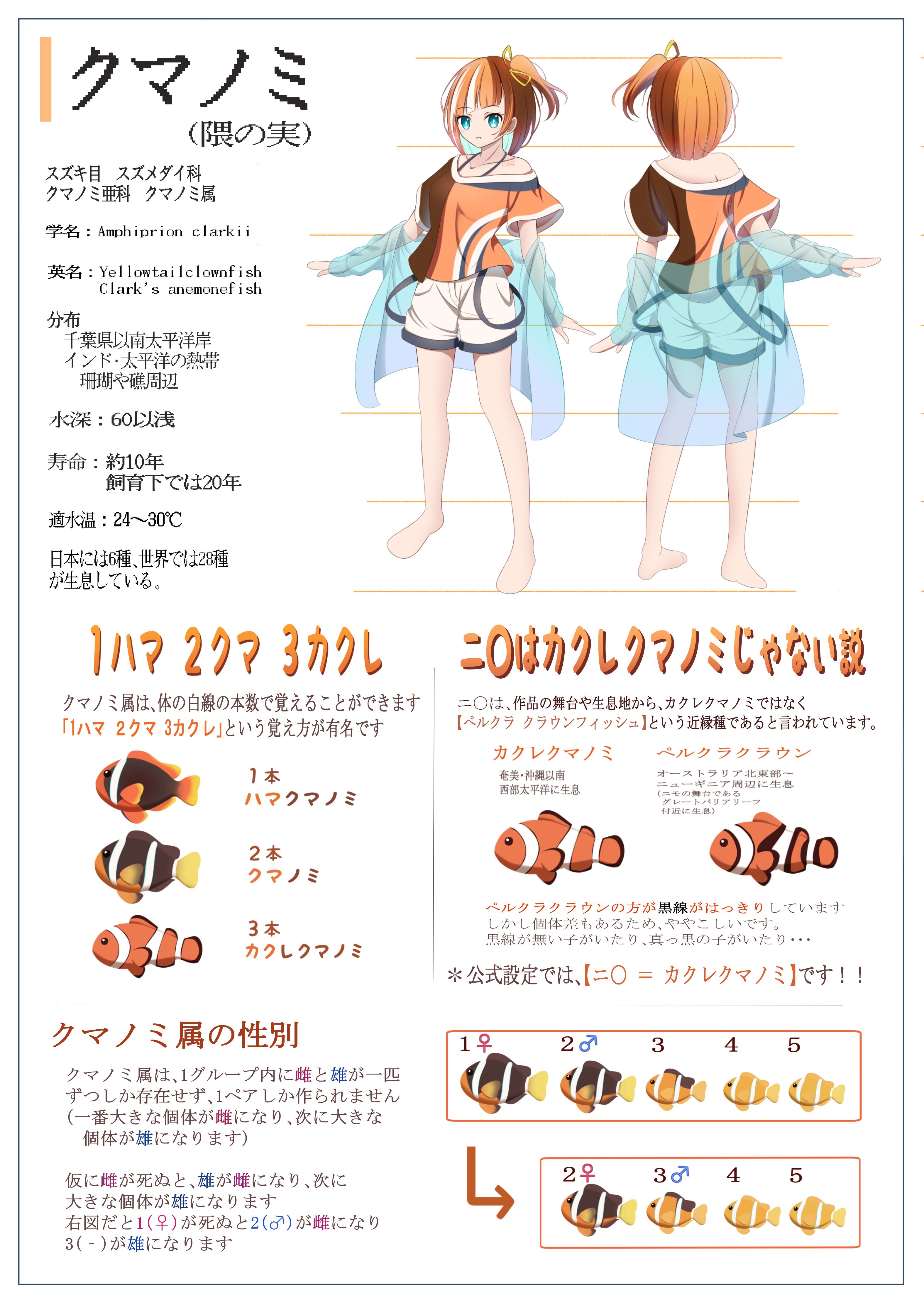 CryptoAquarium クマノミ