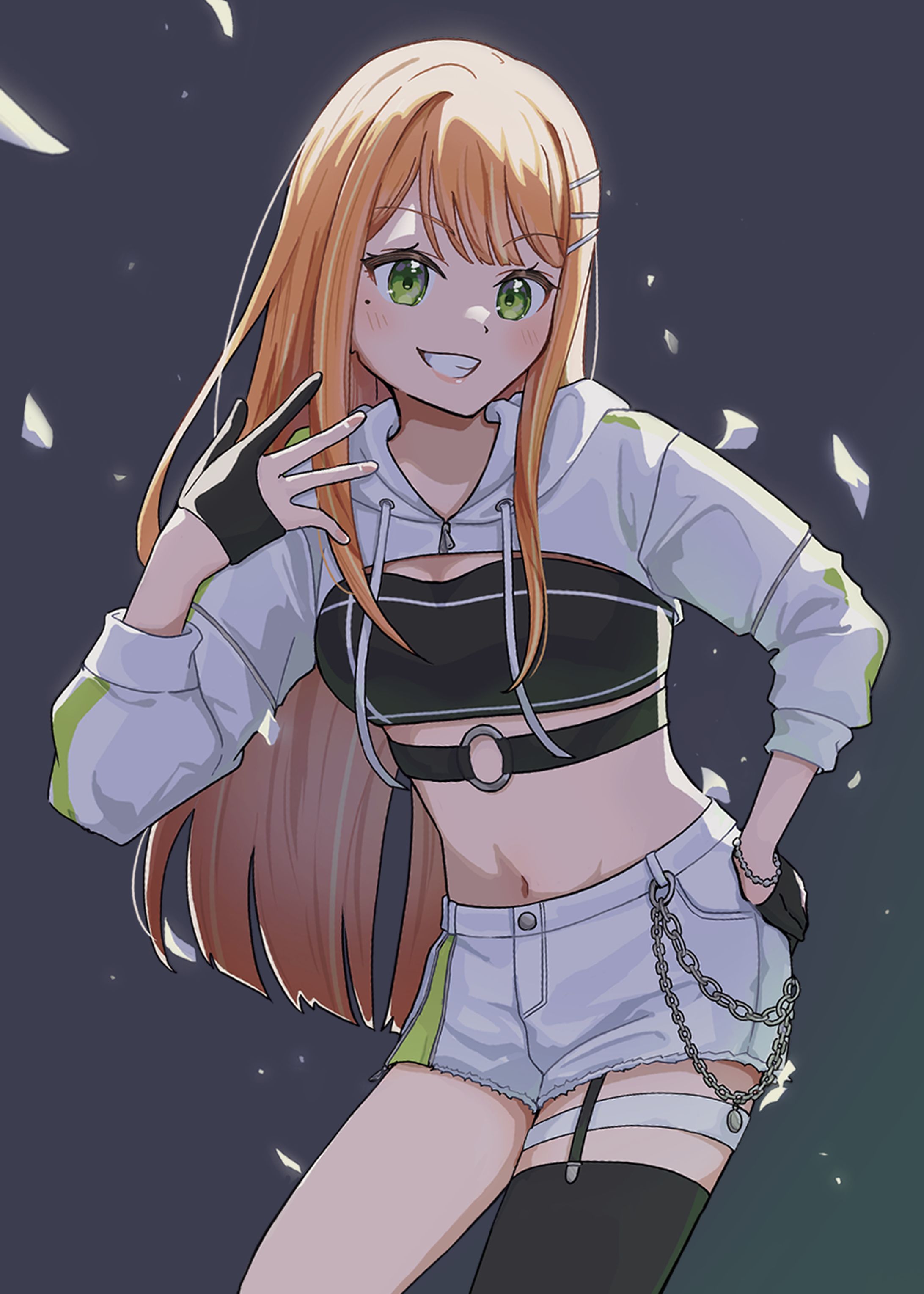 一枚絵 / 版権-1