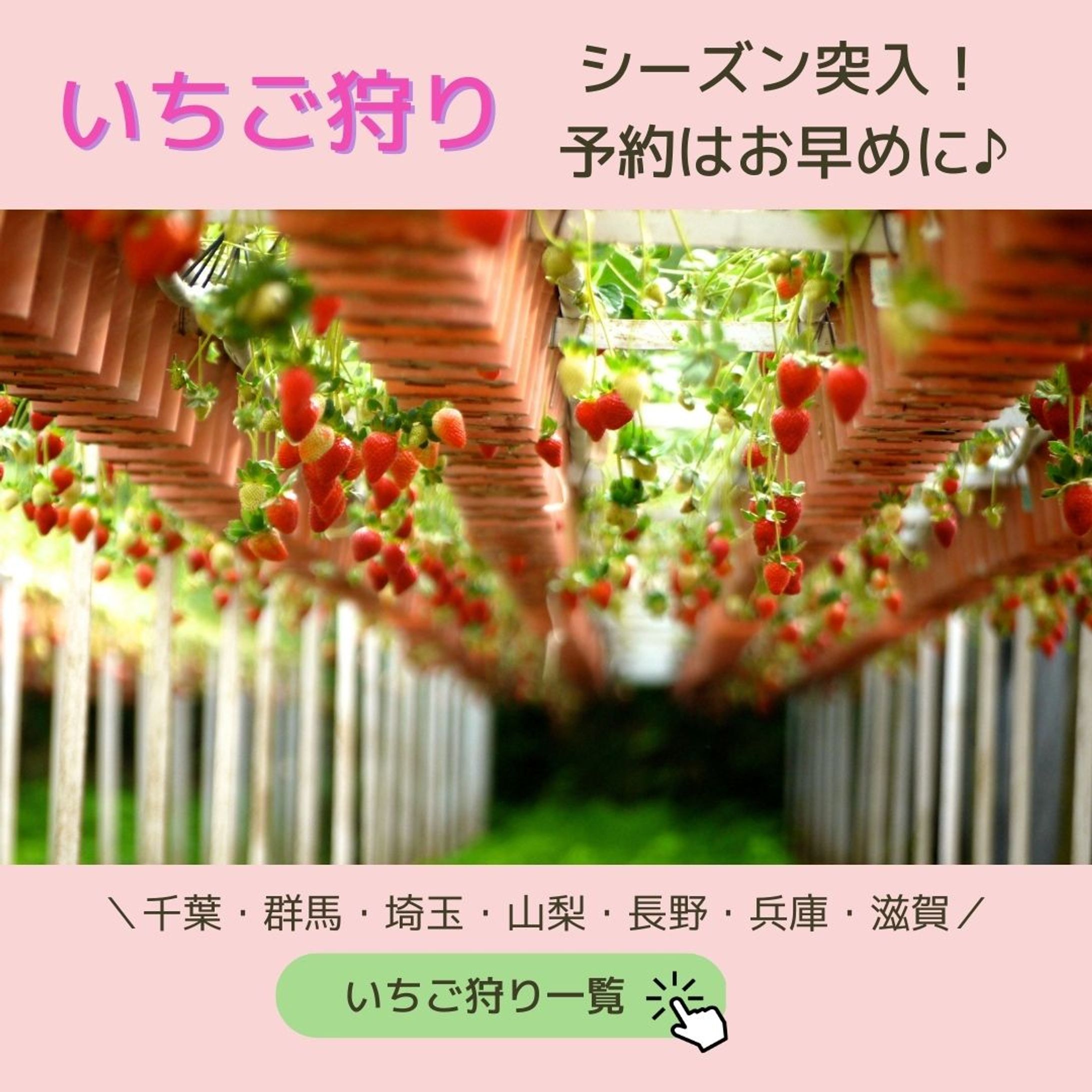 架空　いちご狩り-1