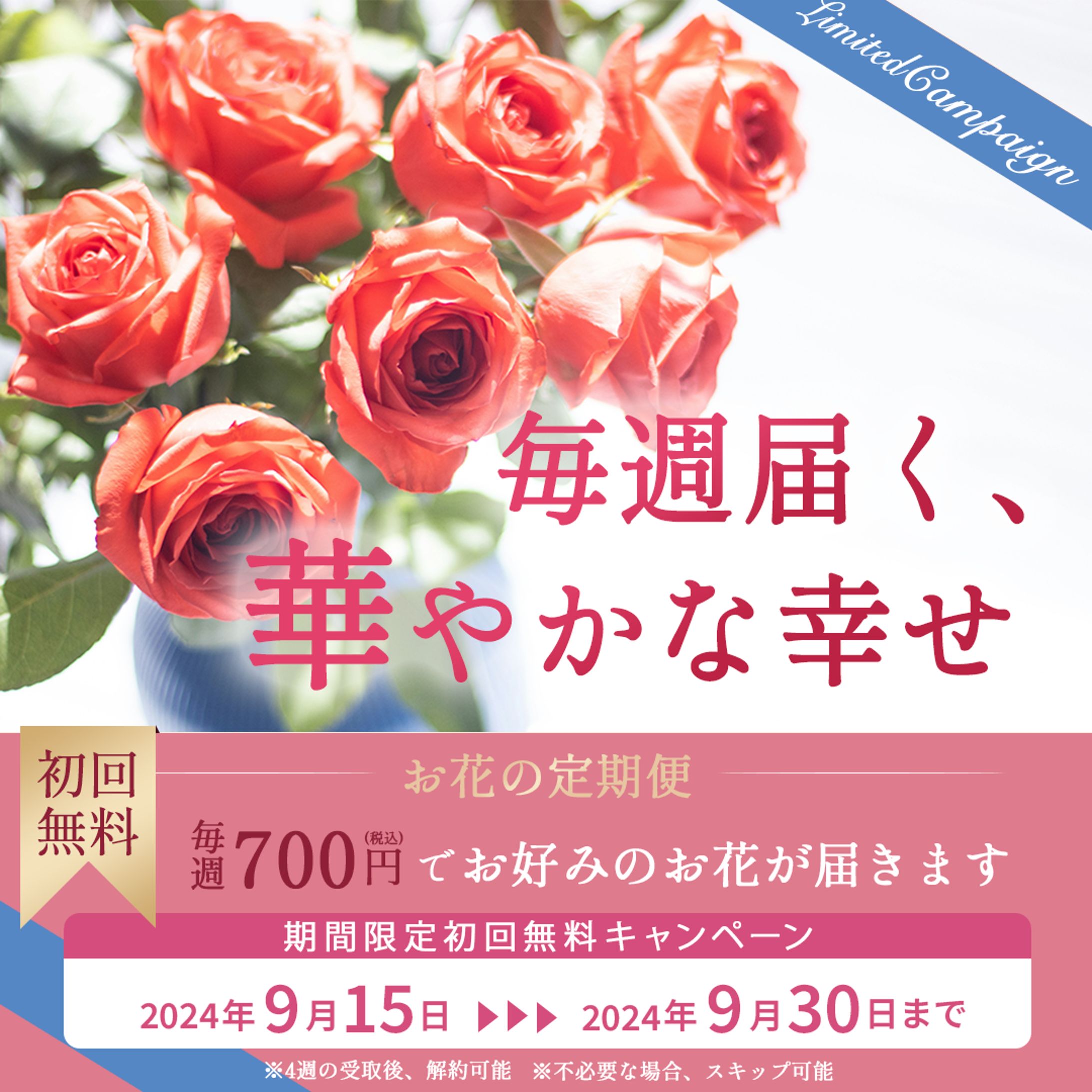 お花の定期便-1