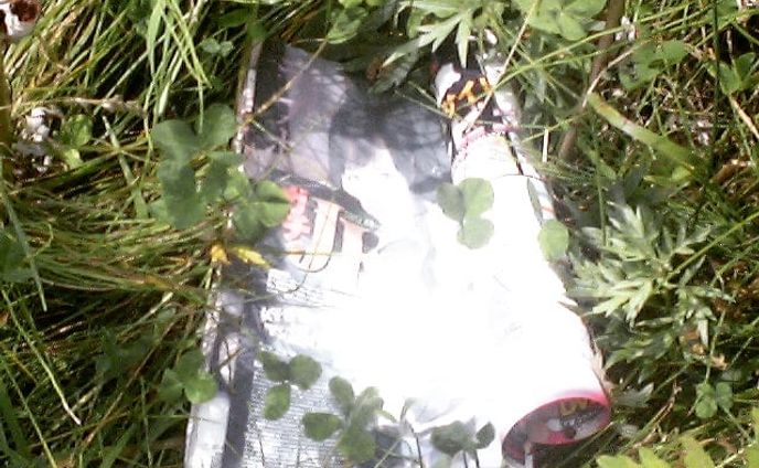 色褪せたエロ本。