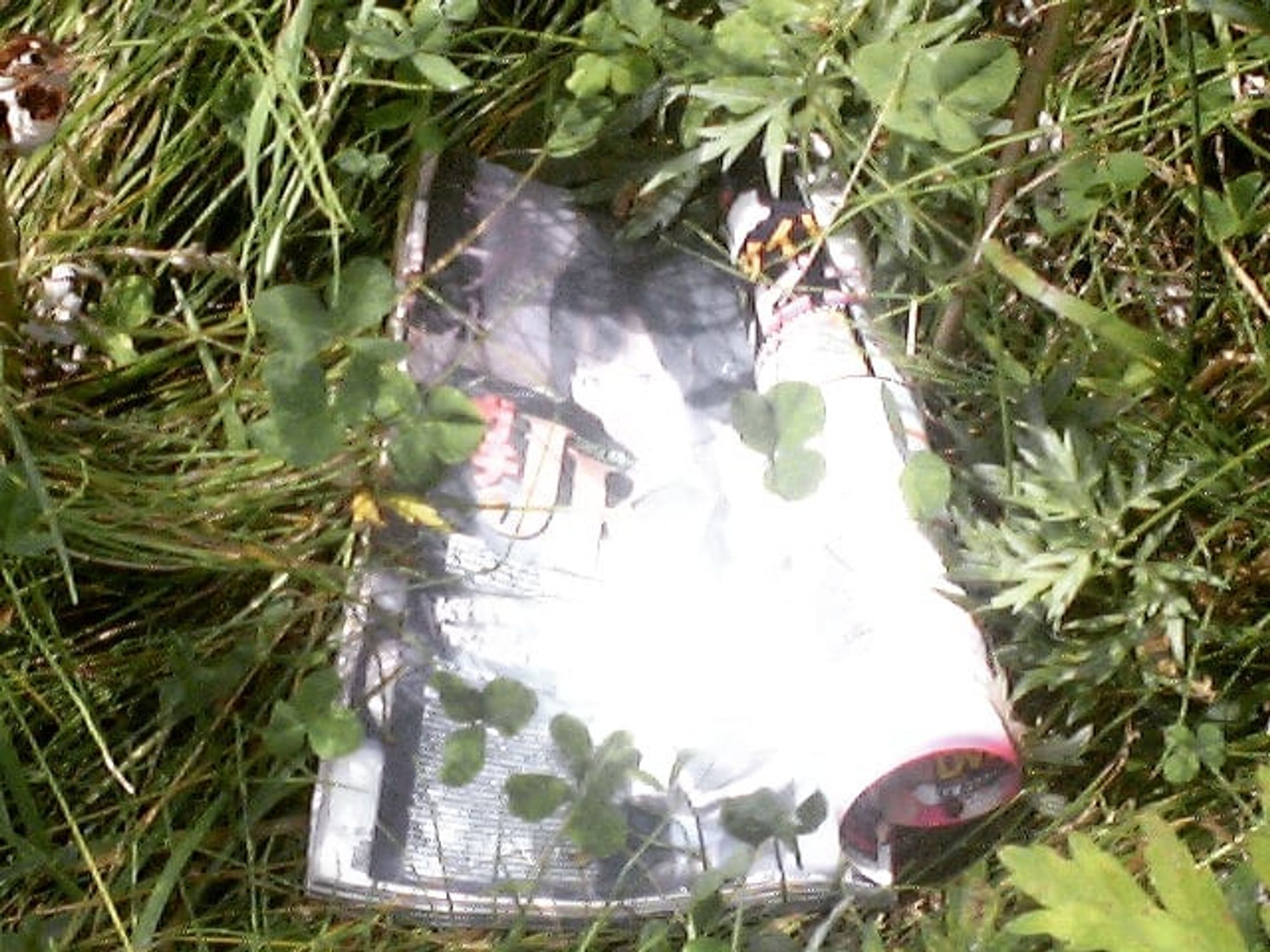 色褪せたエロ本。-1