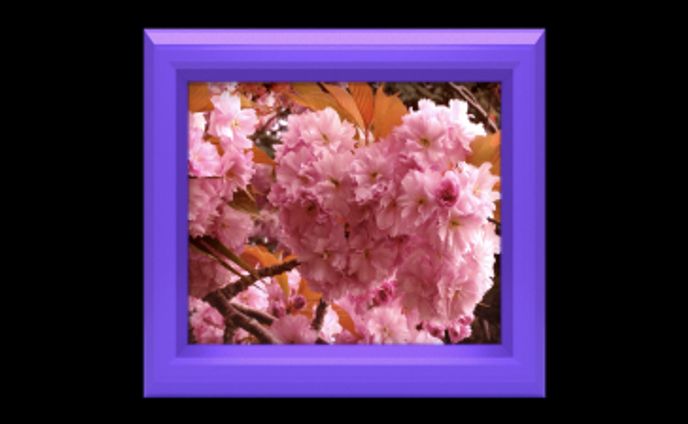Test upload