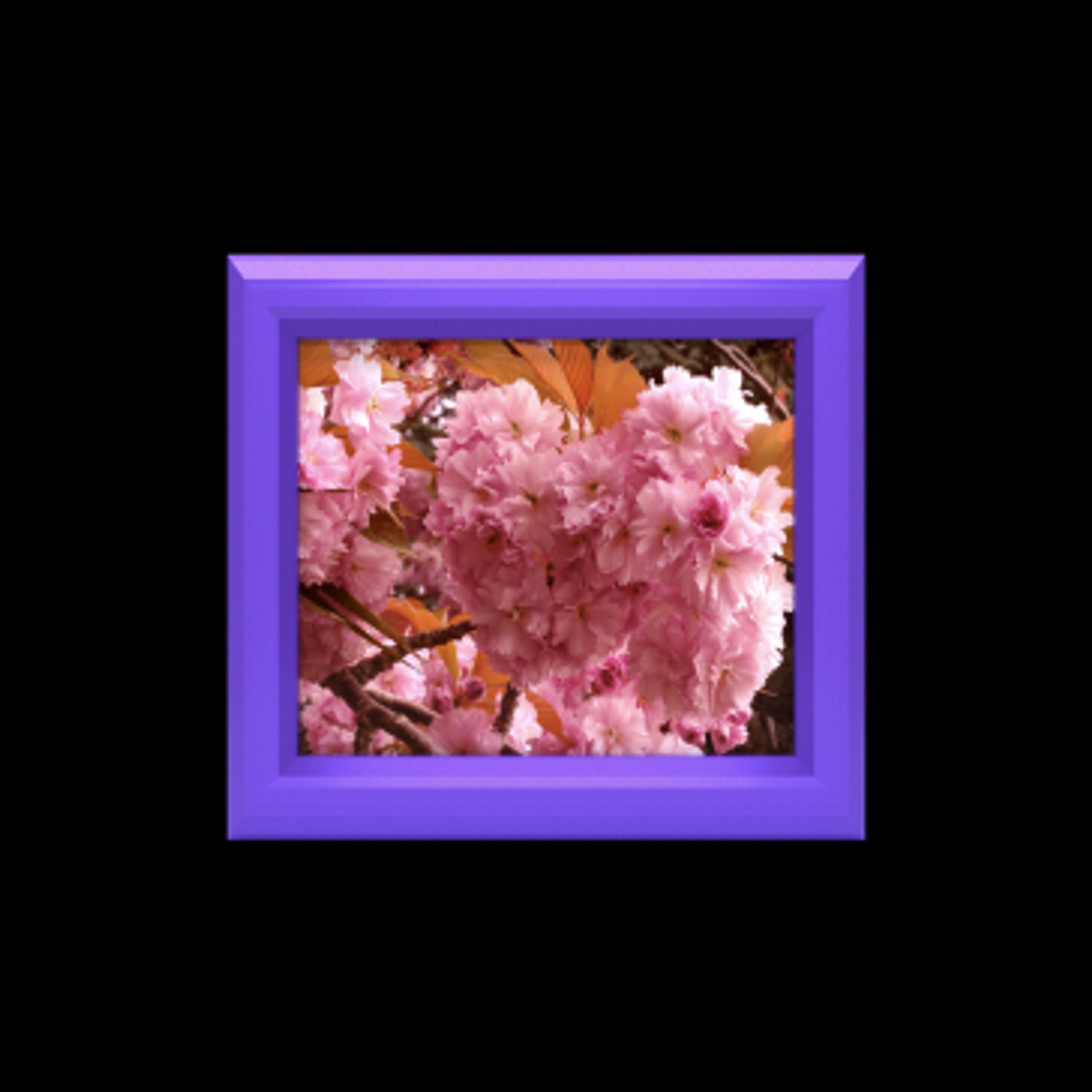 Test upload-1