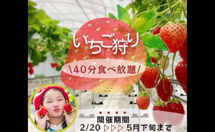 いちご狩り