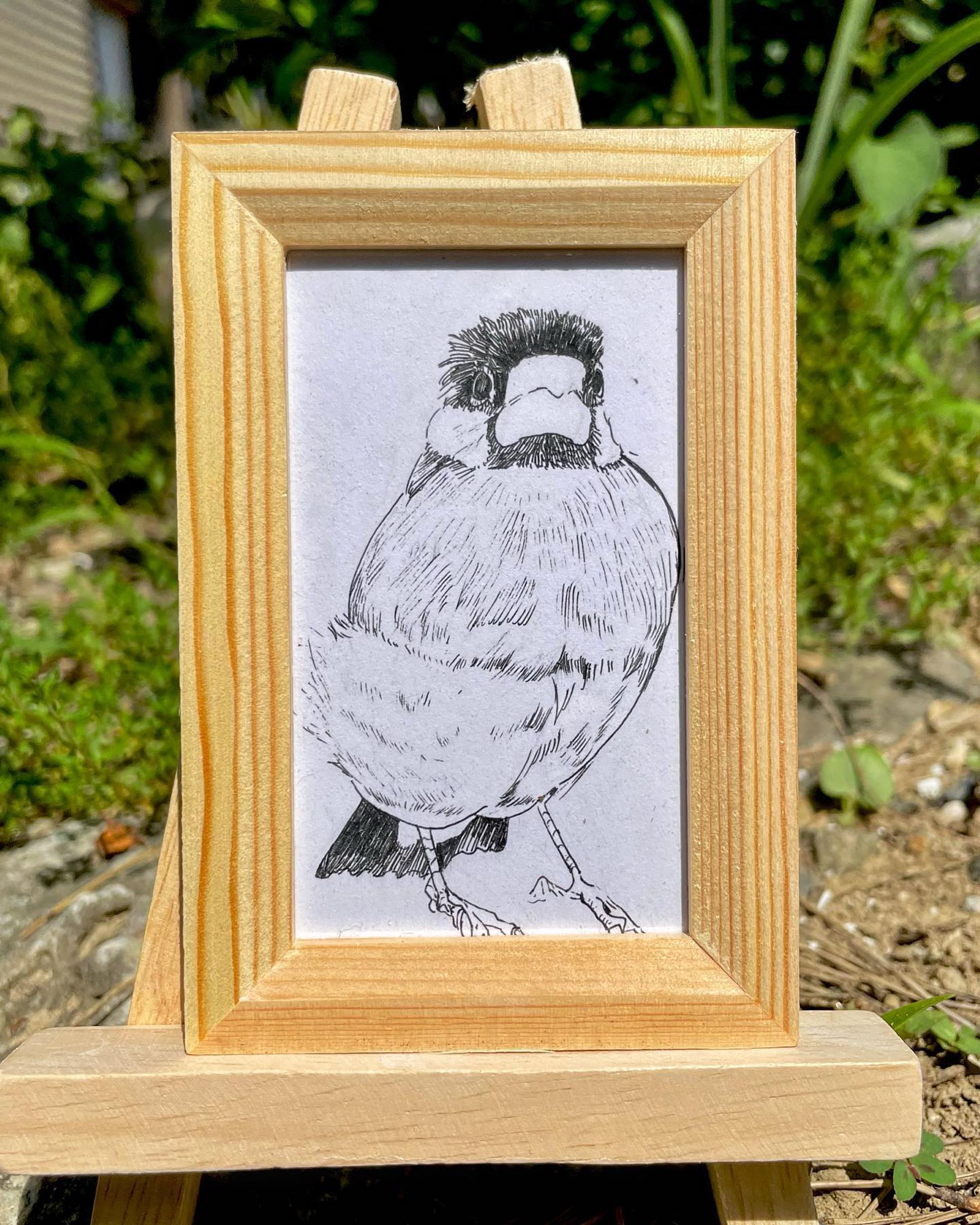 ブン

#文鳥
#ペン画
#イラスト
#illustration
#penandinkdrawing 
#bird
#文鳥好きな人と繋がりたい 
#ボールペン
#javasparrow-1