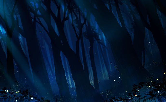 𝗣𝗩 𝗶𝗹𝗹𝘂𝘀𝘁 : 반딧불