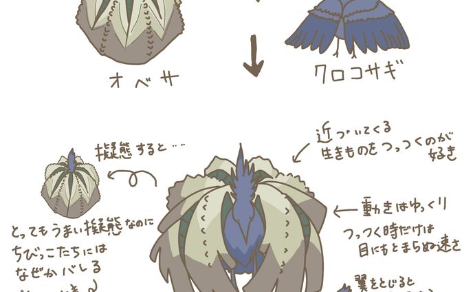 オベサ×クロコサギ