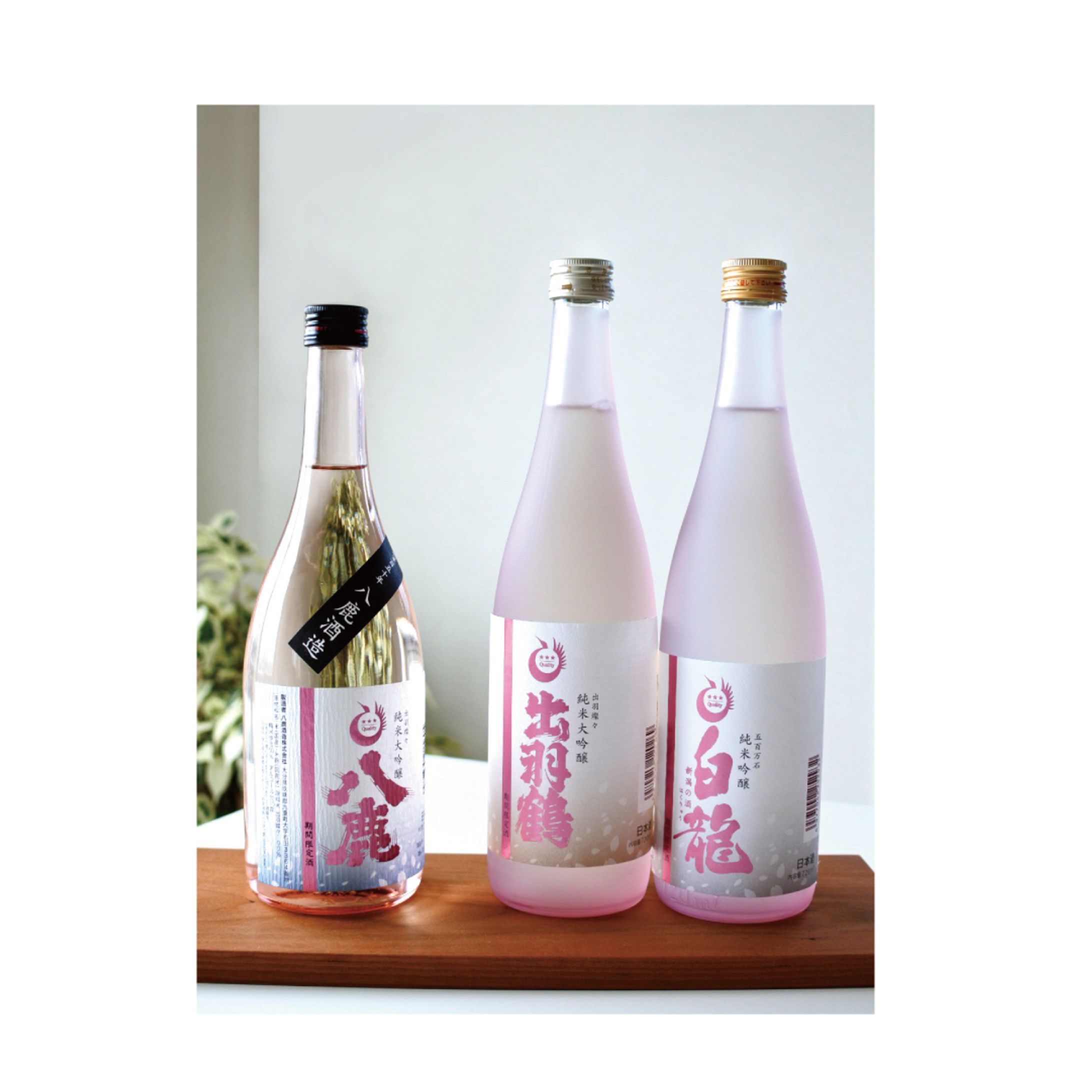 日本酒ラベルデザイン制作-1