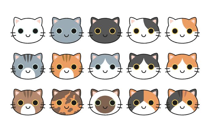いろんな猫の柄パターン