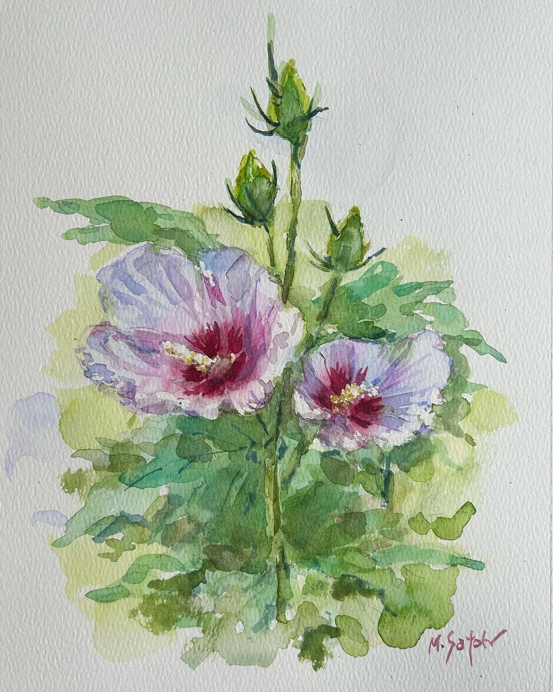 「木槿」
透明水彩　ohuhu水彩紙　A4

#透明水彩 #透明水彩画 #木槿 #ムクゲ #花 #花の絵 #絵画 #静物画 #hibiscus #mukuge #watercolor #watercolorpainting #flowers #flowerpainting #flowerart #stilllife-1