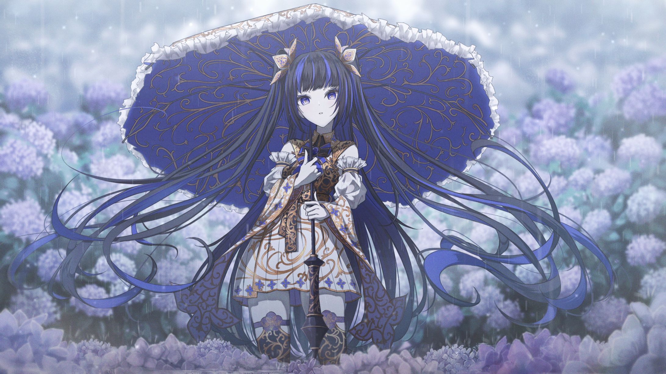 Hydrangea　2024 - 6/22～8/05-1
