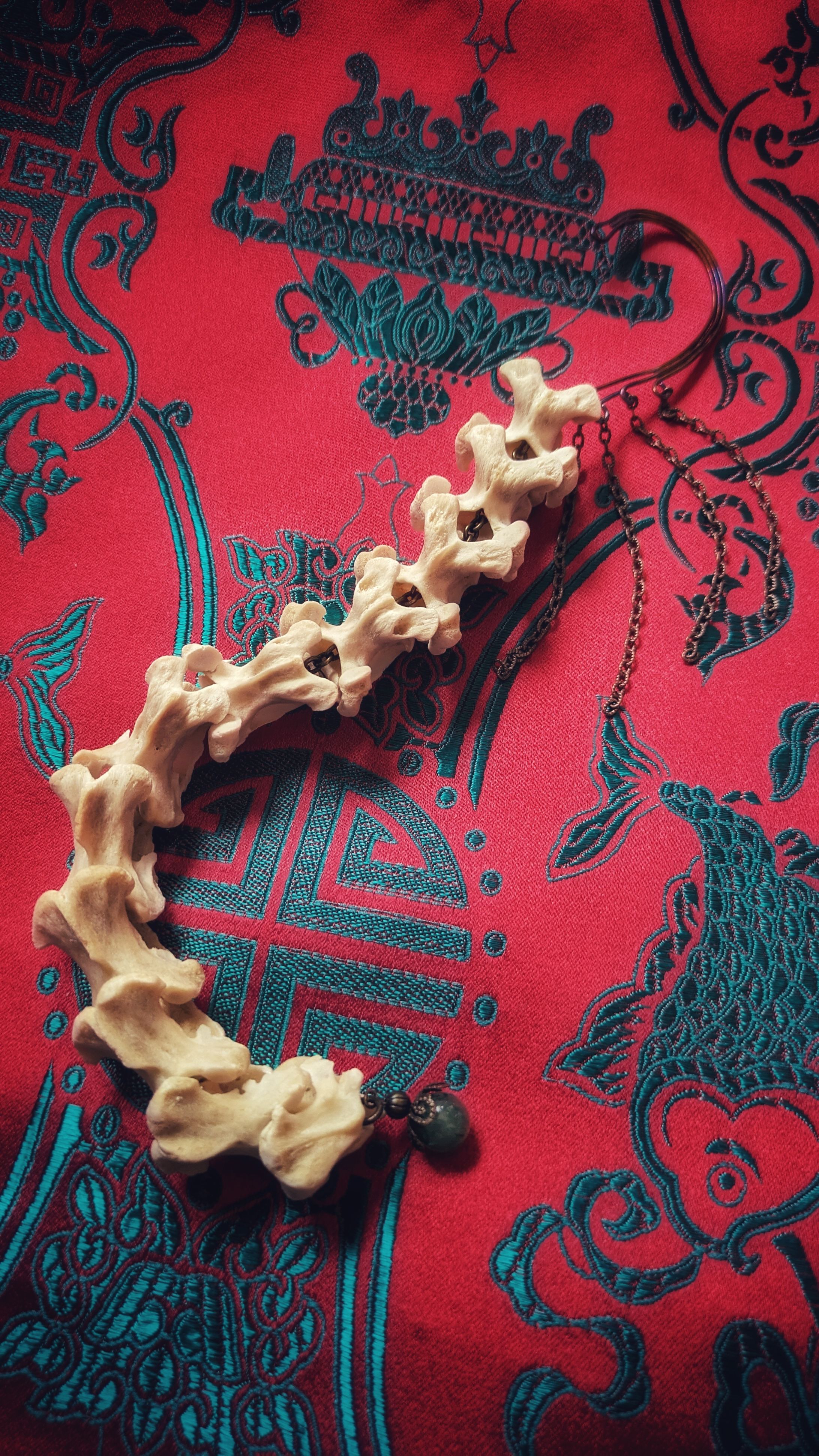 背骨イヤーフック-1