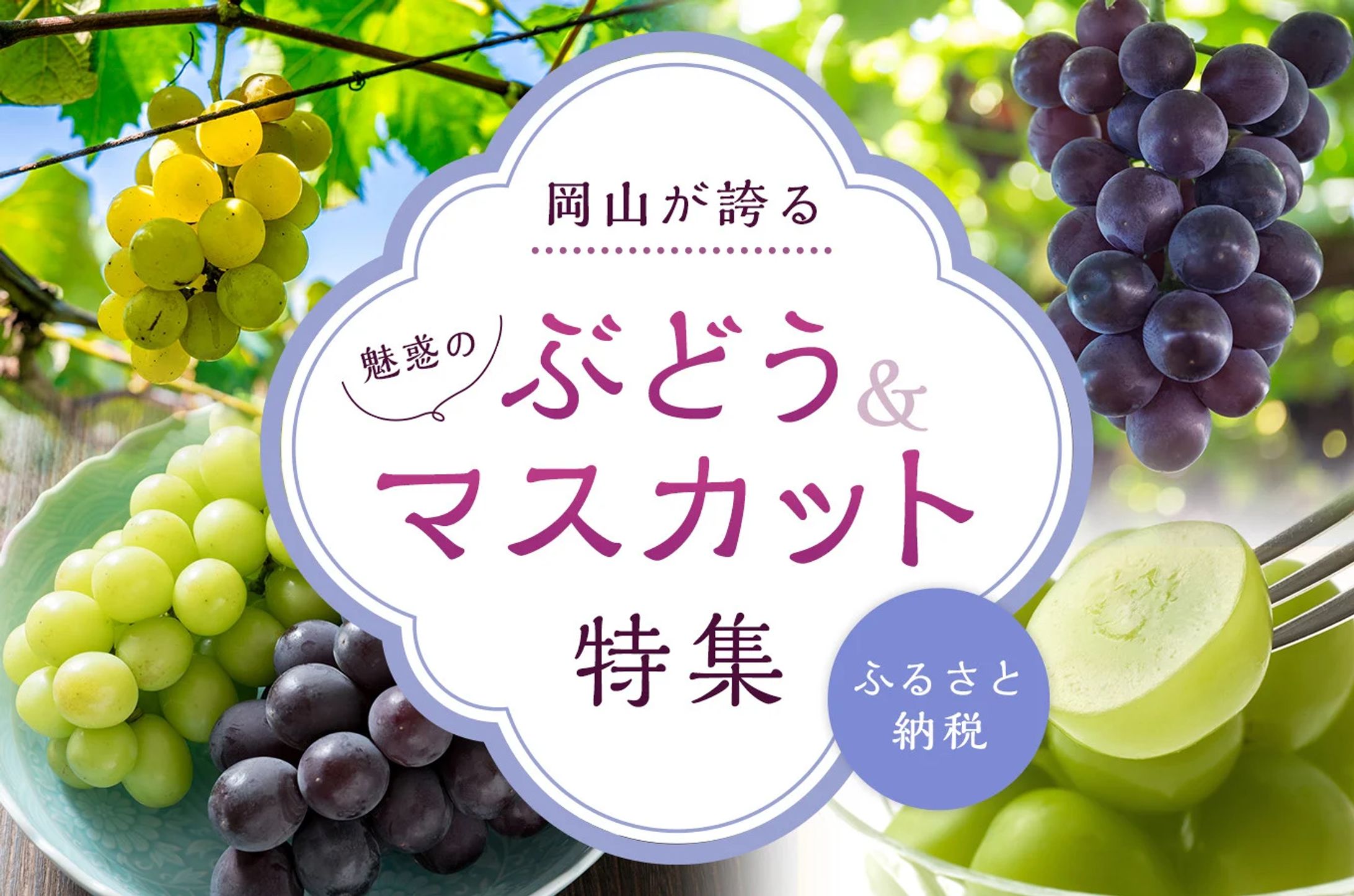 ぶどう・マスカット特集-1