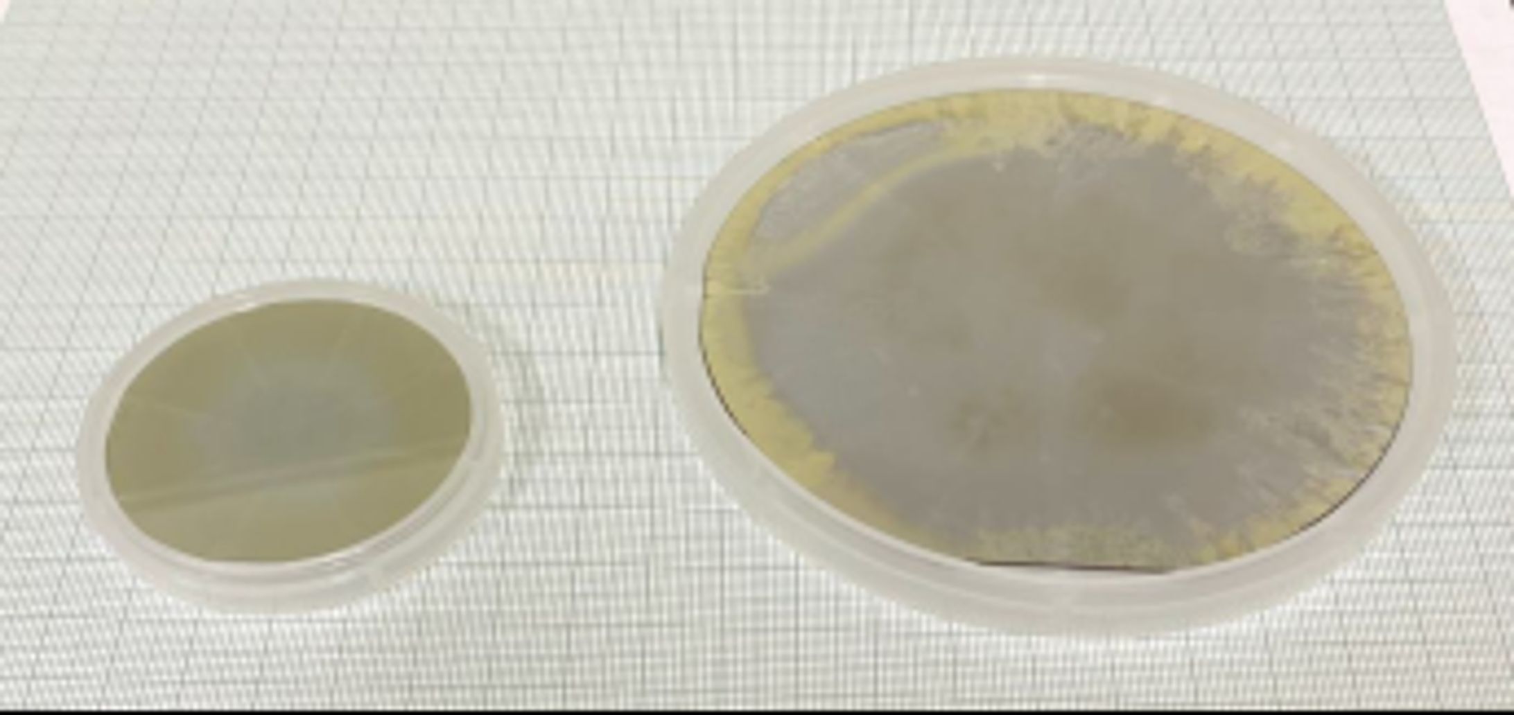 窒化アルミニウム単結晶基板市場戦略レポート2026：競合状況、成長要因、投資リスク-1