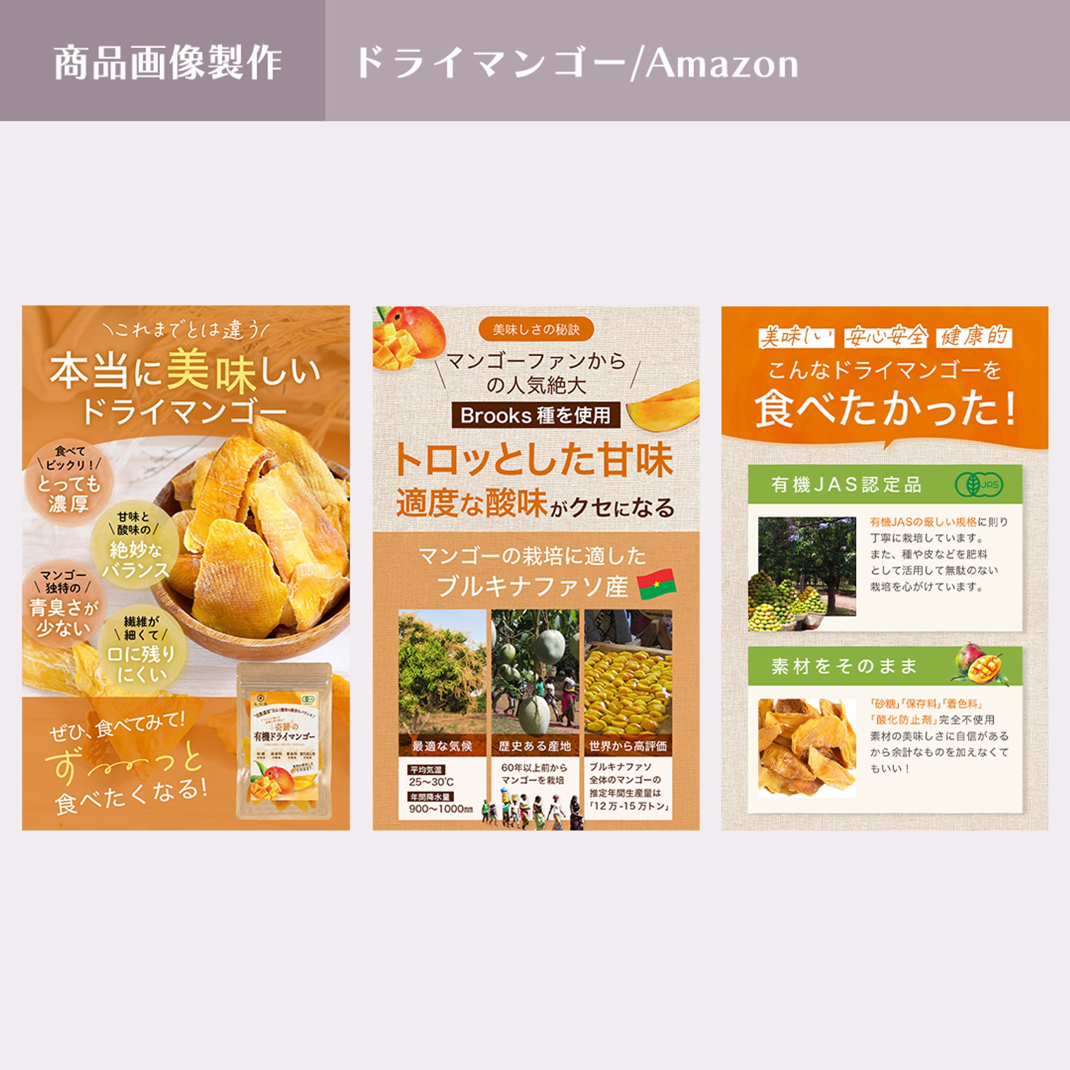 商品画像/ドライマンゴー/amazon-1