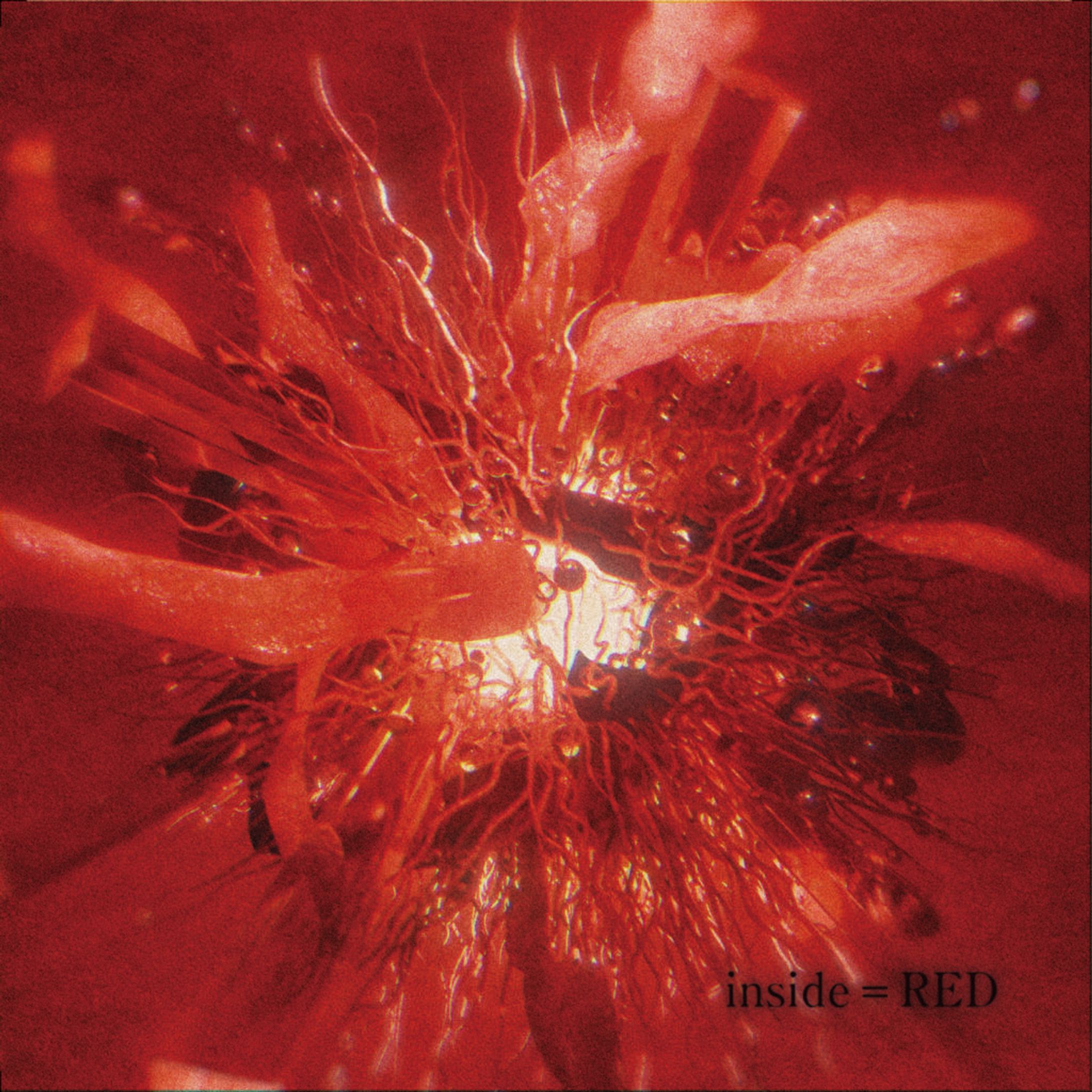 Ivy to Fraudulent Game / inside = RED-1