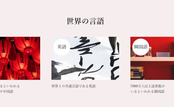 動画、wordpress