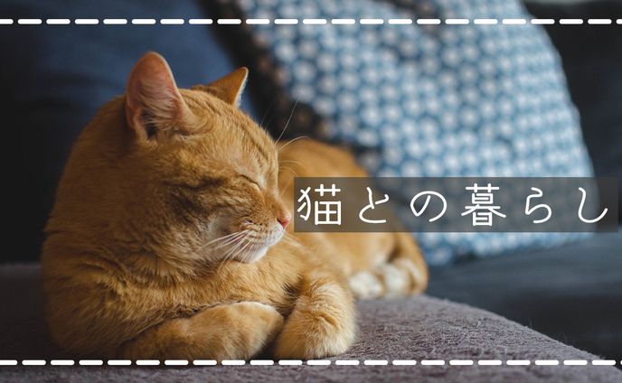 日常、youtubeサムネ