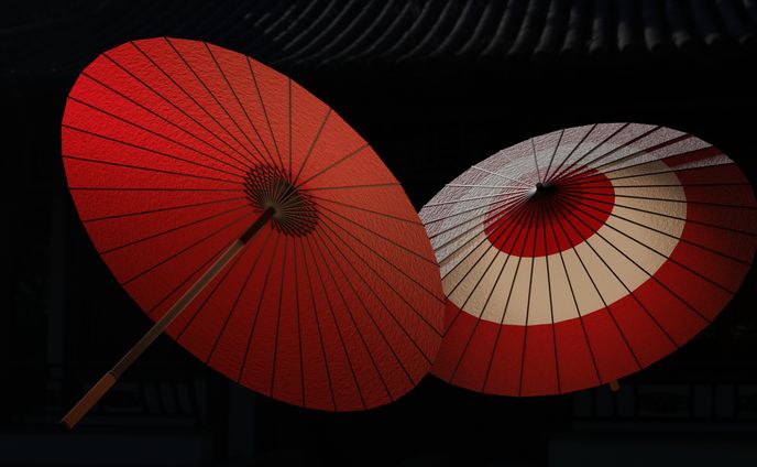唐傘　3Dモデル