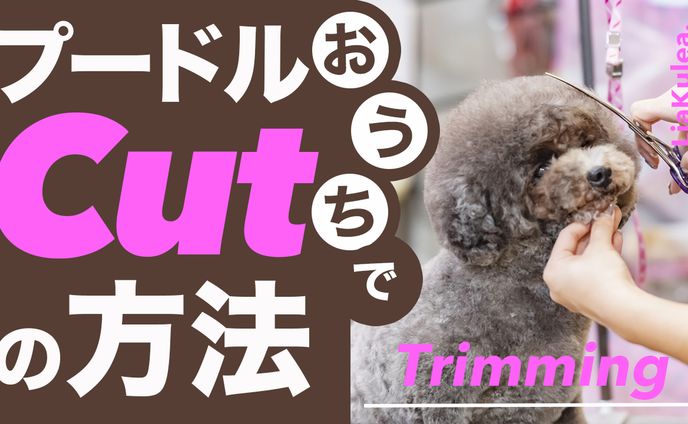 トリミングサムネイル（架空）